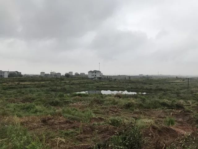 第1659页