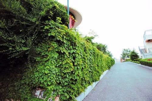 联系我们 第306页