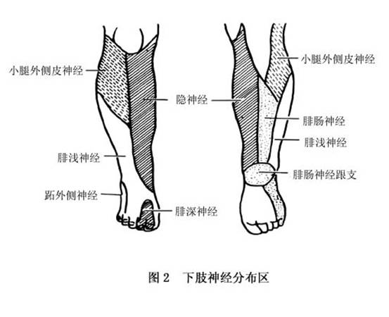 技术服务 第340页