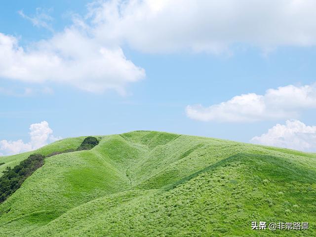 小牛钱罐子最新消息,小牛钱罐子最新消息，一场自然美景的旅行，寻找内心的宁静