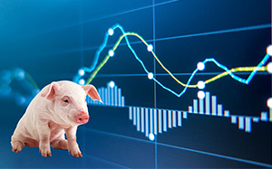 生猪最新行情概览与指南