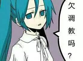 联系我们 第242页