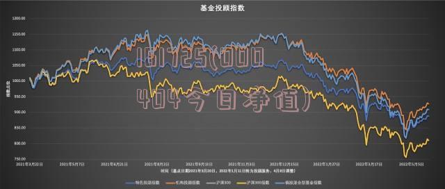 161027基金净值查询今天最新净值,今日161027基金净值揭秘，变化中的学习，自信与成就感的源泉