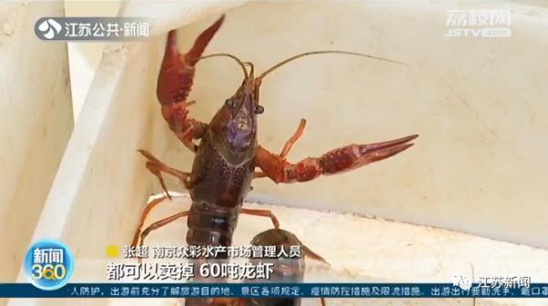 水产价格行情最新动态，时代波动与领域地位影响分析