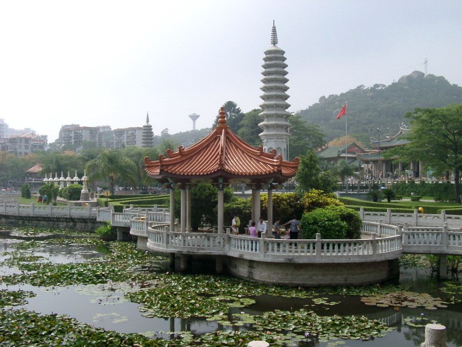 厦深高铁最新动态揭秘，探寻小巷独特风味之旅