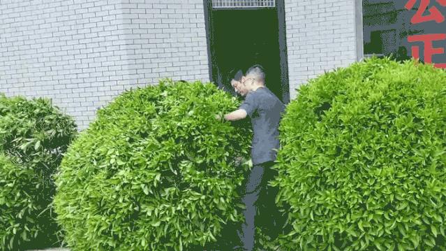 滨海能源股票行情，乘风破浪，成就财富梦想