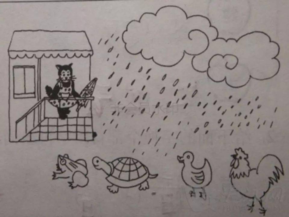 速度与激情