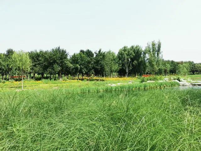 进展动态揭秘