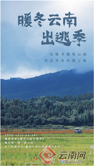 探索自然美景，寻找内心平和的旅行精选内容