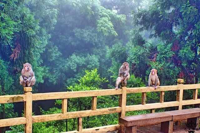 三姐妹的旅行探索之旅，自然美景与内心平静的追寻