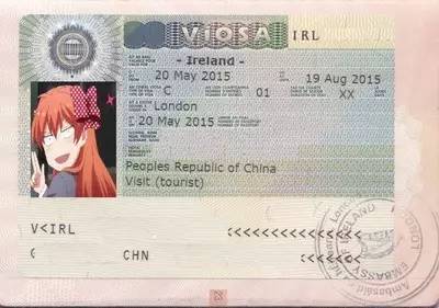 爱尔兰签证最新政策详解，政策背后的故事与案例分享