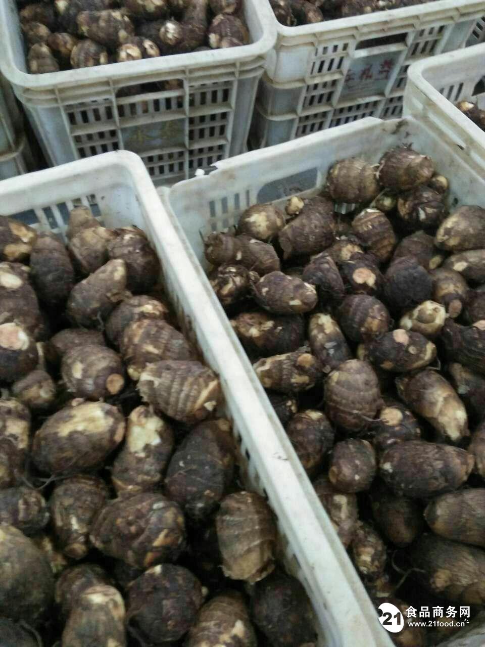 行情走势分析