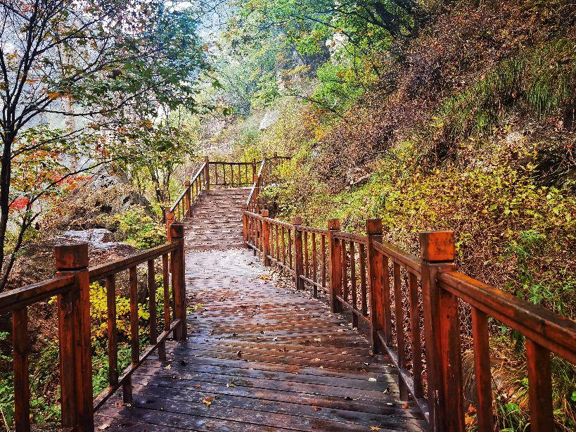 平山县女工招聘最新，与自然共舞，寻找内心宁静之旅