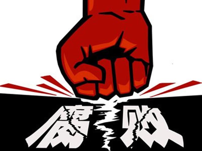 天水反贪最新动态，趣事中的友情与陪伴力量