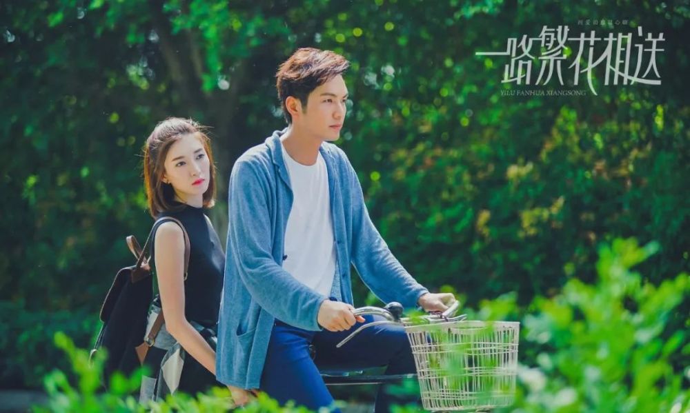 最新电视剧爱情篇，自然美景之旅，探寻内心宁静与喜悦的旅程