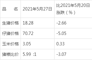 碣石新闻最新动态