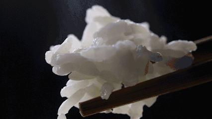 禾绿寿司最新菜单图片