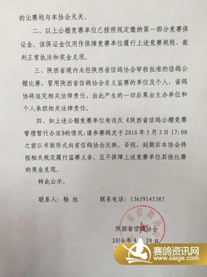 吴忠信鸽协会最新公告，赛事更新、动态资讯与未来展望展望发布