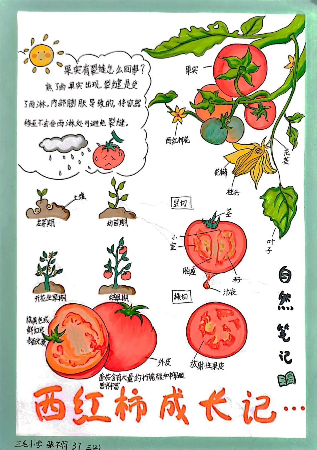 第249页