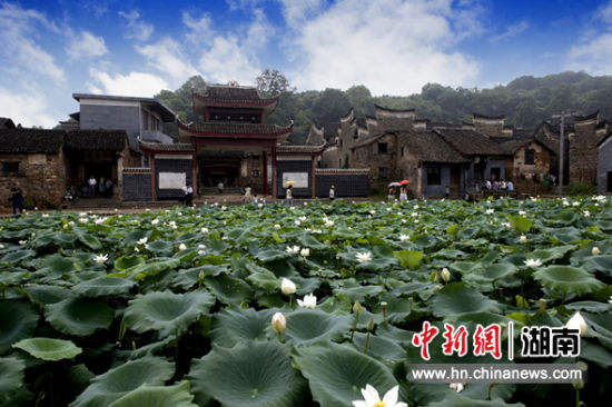 滕州最新梁场独院出售