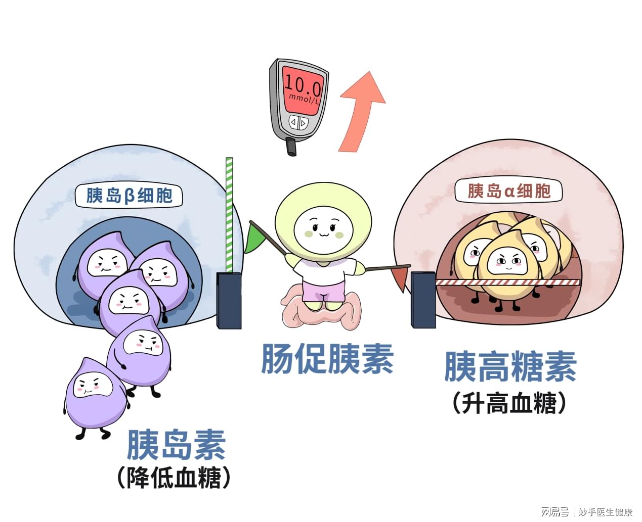 智能胰岛素研发进展与日常故事探索