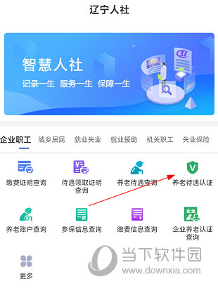 大连人社最新下载攻略，初学者与进阶用户指南