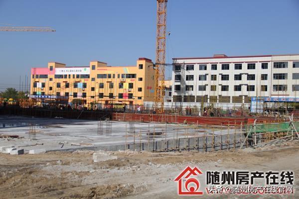 随州干部公示公告更新，新时代领导团队的公开亮相与崭新面貌