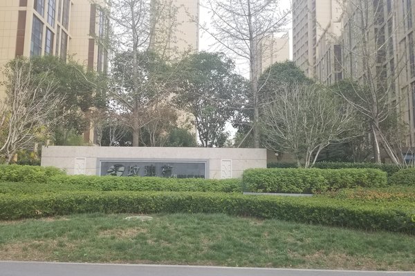 泾渭分明半岛最新动态，高科技产品引领未来，重塑生活体验