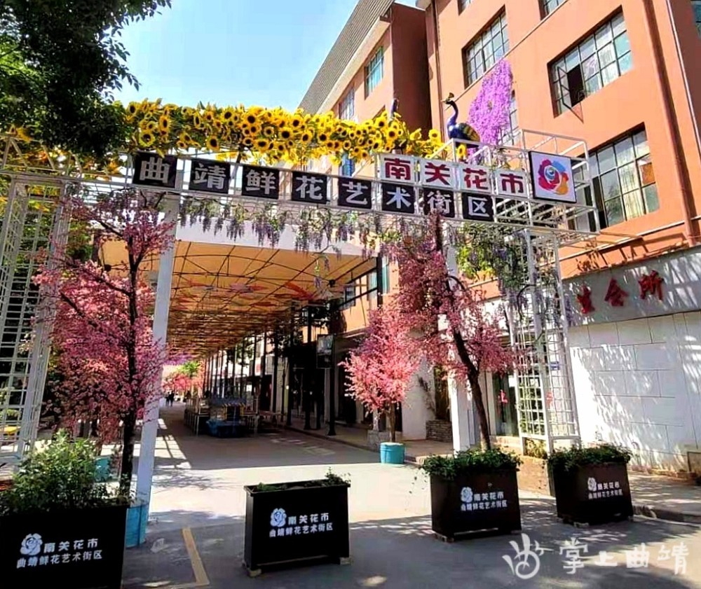 小街嵩明最新招聘信息发布🔥✨