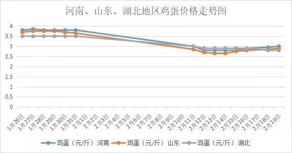 鸡蛋价格