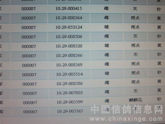 爱羽扫描鸽钟报价引领创新浪潮，前沿科技开启生活新纪元