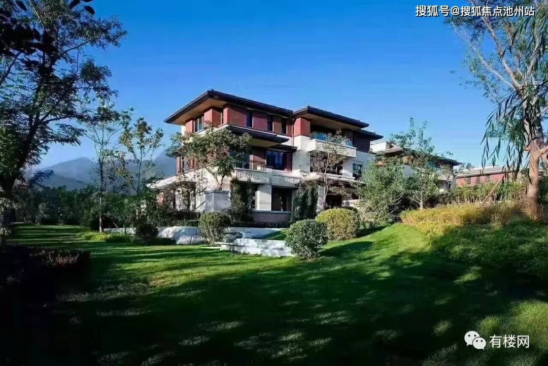 深度解析与观点阐述