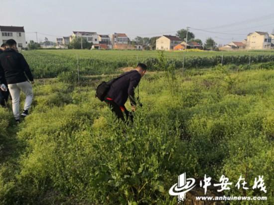宁国最新房屋智能租赁信息，科技引领新时代的居住选择