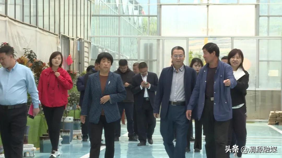 情感纽带揭秘