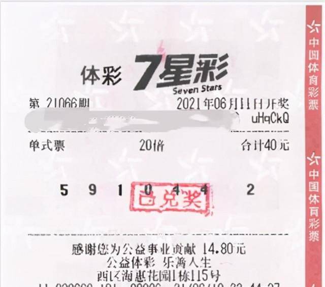 玉兔送金封最新交易，科技与生活共舞的新纪元