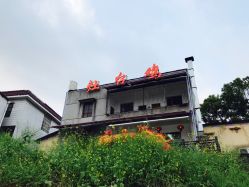 小巷美食探秘