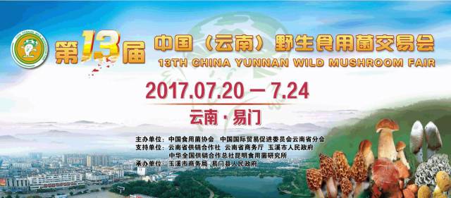 东莞石碣最新招聘，科技革新引领未来生活新体验招聘启事