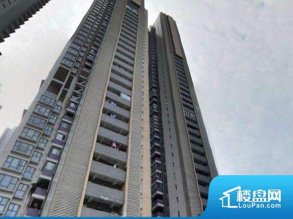 中山楼盘最新房价开盘指南及购房攻略获取渠道
