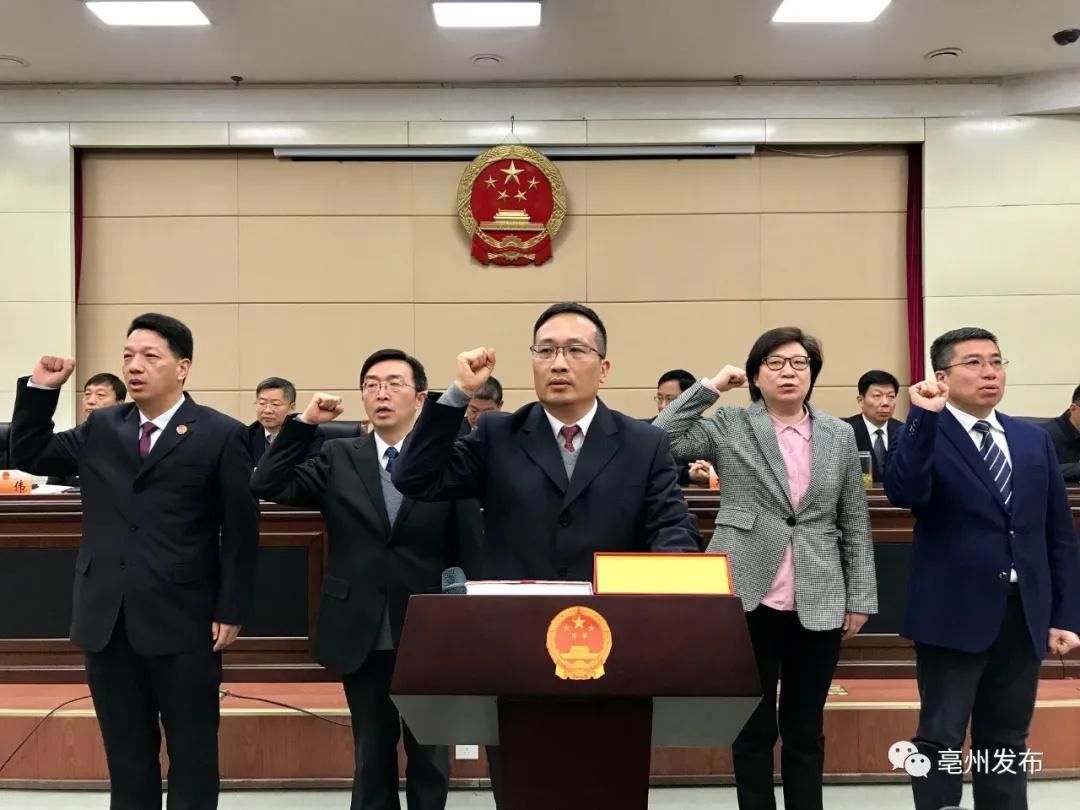 亳州市人事调整背后的城市发展与治理策略，最新人事任免解析