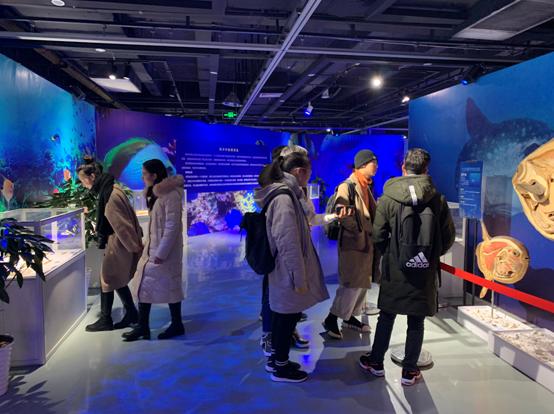 探索海洋奥秘，揭秘无尽魅力——海解说最新资讯分享