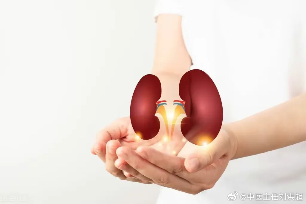 小杰的肾脏奇遇，最新研究与友情的力量探索肾脏奥秘